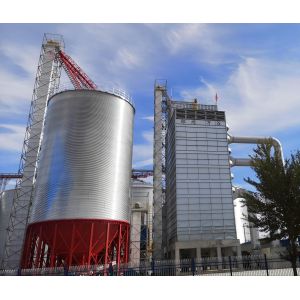 Wheat Continuous Flow Dryer with Model 5HSQ-10 Performance Efficiency