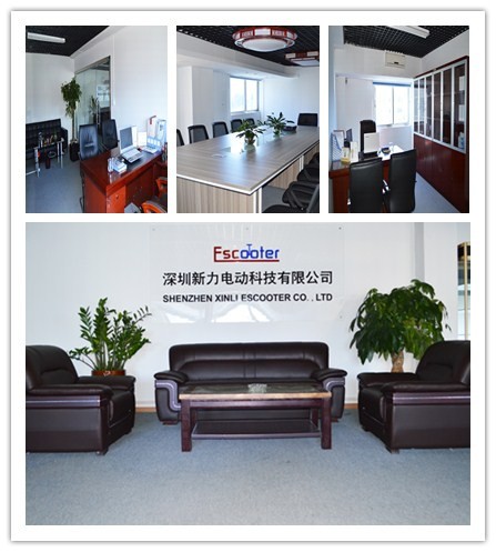 Carbon Foldable Electric Scooter with 350 Watt Brushless Motor , Electric Kick Scooter