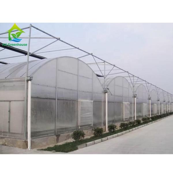 Buy Plastic Sheet Hydroponic Greenhouse Systems Multi Span at wholesale prices