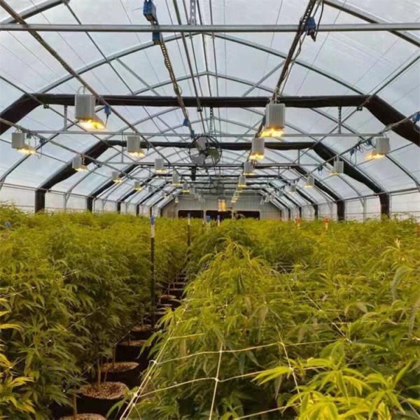 Automatic 100% Blackout Medical Growing Single Span Light Deprivation Greenhouse