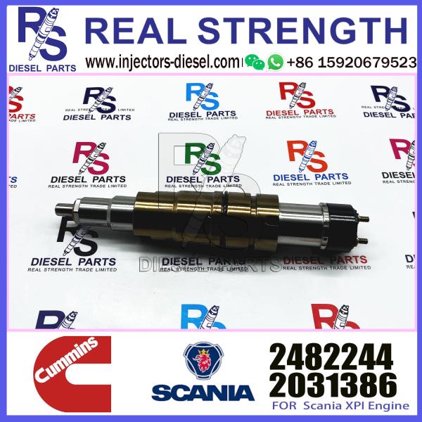 Spot goods Common Rail Diesel Diesel common rail fuel injector nozzle 2419679 2482244