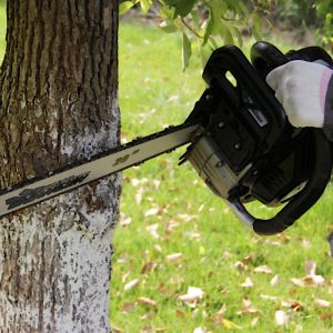 Wood Cutting Gasoline Chain Saw Machine CE Approved Anti Slip