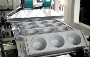 Quality Innovative One Step Sheet Extrusion Blister Tray Making Machine Integrated for sale
