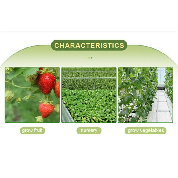 Plastic Film Tunnel Greenhouse Kit Width 6m 8m 9m For Growing Vegetables Flowers Fruits