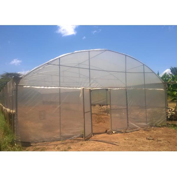 Buy Single Span Greenhouse 8-12m Wide with 90mph Wind Resistance at wholesale prices
