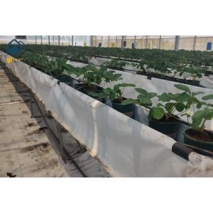 Modern Agricultural Strawberry Growing Troughs Greenhouse PVC Hydroponic Grow