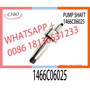 China High Quality Diesel CP4 Fuel pump camshaft 1466C06025 for pump part number 0445010506 on sale