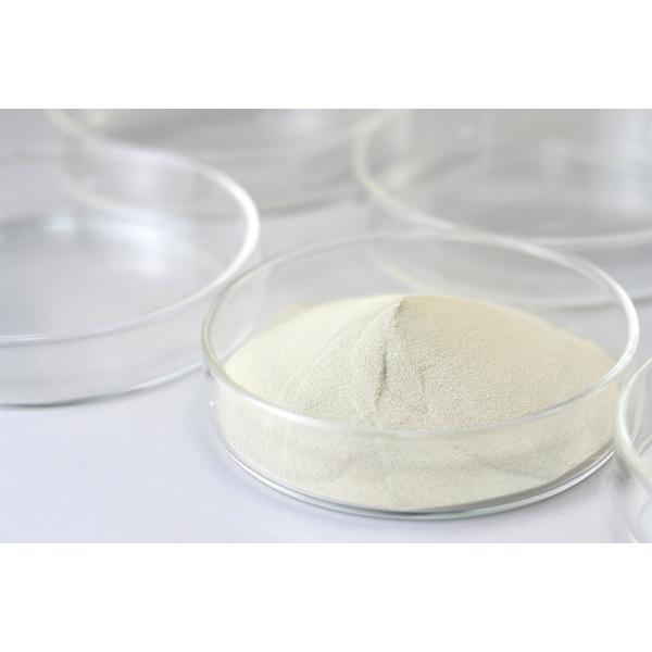 Buy Lactase Food Grade Enzymes β-Galactosidase Catalyze The Breakdown Of Lactose at wholesale prices