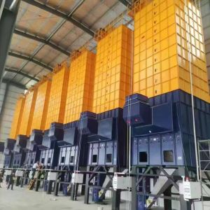 Indirect Good Drying Result 300 Tons Paddy Dryer Plant Taiwan Tech Dryer Machine