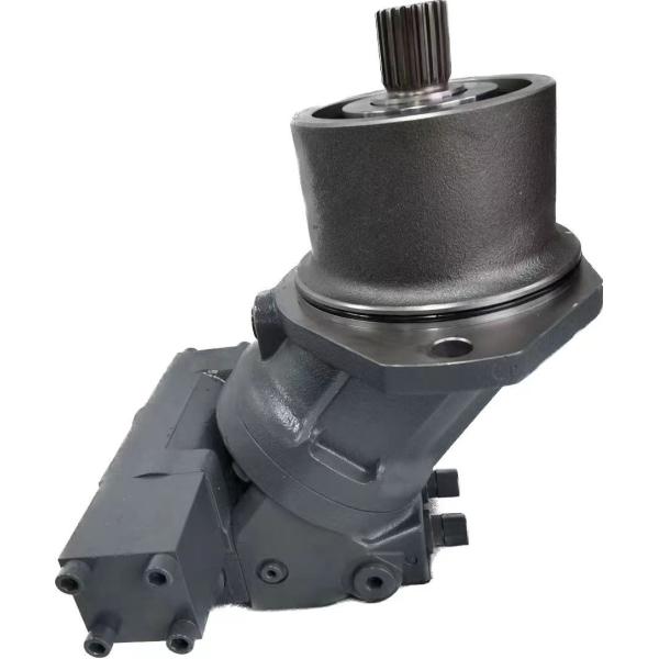 REXROTH Hydraulic Motor A2FE Series A2FE125/61W For Hydraulic Excavator Parts Hydraulic Pump Repair Kit