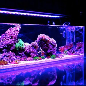 Customizable Acrylic Aquarium Fish Tank with Cutting Service Sustainable
