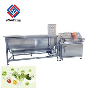 220V Bubble Leafy Vegetable Fruit Washing Machine High Efficiency