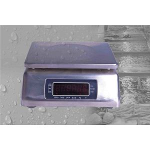 IP68 Waterproof Weighing Scales , Stainless Steel Platform Weighing Scale