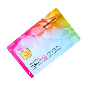 SLE5528 4428 RFID Plastic Pvc Smart Contact Chip Card
