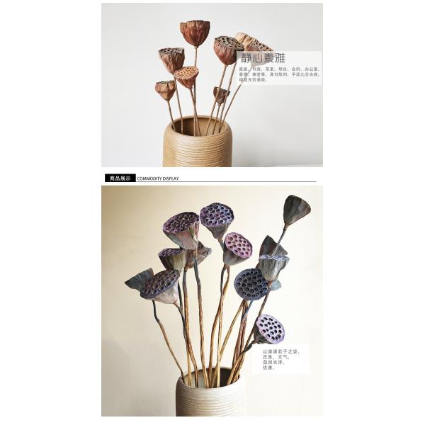 Ornamental 50cm Seedpod Lotus Root Dried Flower Decor