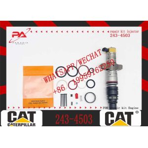 High quality Excavator parts injector assembly engine spare parts 3879432 266