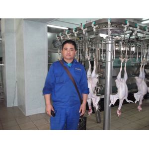 New Arrival Automatic 2000BPH Poultry Chicken Slaughtering Machine Line