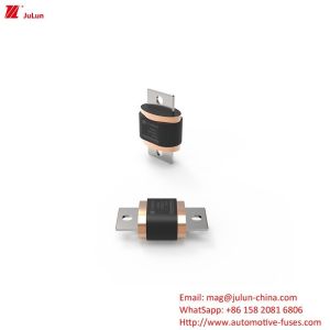 China EV Fuse Electric Vehicle Fuse 500A-1000A DC500V on sale