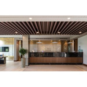 2/2/0.5mm Wooden Microperforated Acoustic Baffle Ceiling Tile Torsion Spring