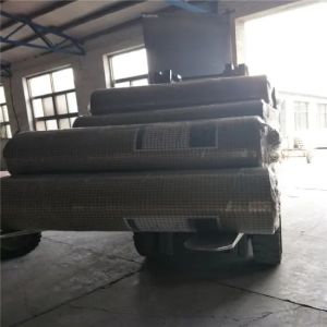 Factory Price Galvanized PVC Coated Welded Wire Mesh in Rolls