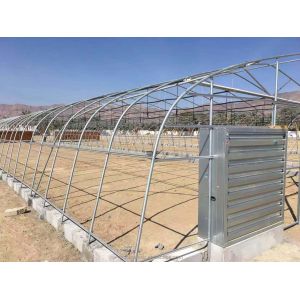 PE Tunnel Greenhouse for Hydroponic Tomato Cultivation Easy Assembly Length 10