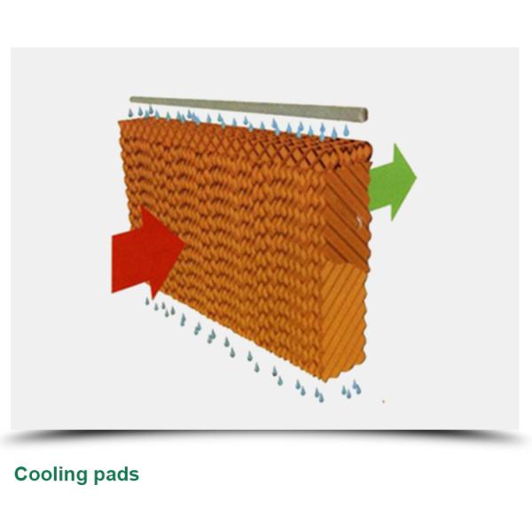 High Yield Three Layer Glass Greenhouse for Optimal Plant Growth and Vegetable Farming
