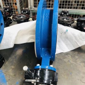 Ductile iron PN16 U section type flanged butterfly valve