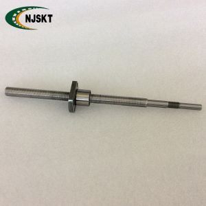 Quality XSK01004 Linear Motion Screw 10mm Diameter High Durability Customized for sale
