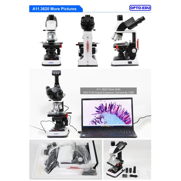 OPTO-EDU A11.3620 Trinocular Biological Microscope