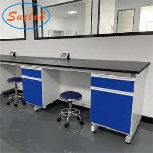 2022 Professionally Customized Made Lab Bench Blue/ Grey white Chemical