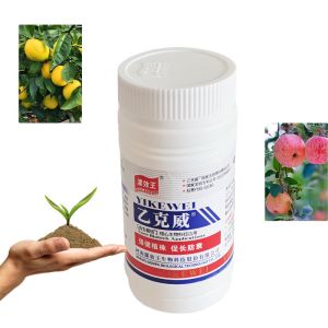 Farm Humic Acid Fertilizer Organic Specific Fertilizer Amino Acid 30% Salt Free