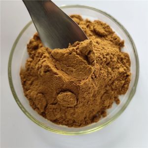 Chinese Herbal Saussurea Involucrata Extract/Snow Lotus Extract