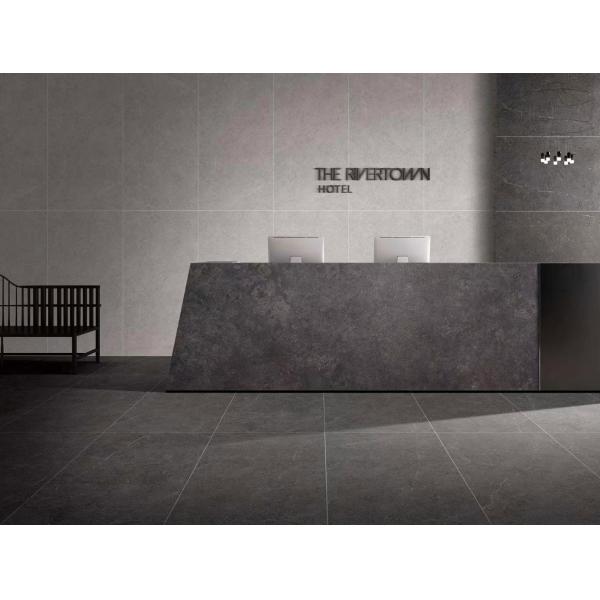 Antibacterial Gray 60x120cm Glazed Porcelain Wall Tiles for Bathroom