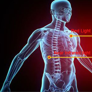 600W Home Ues Near Infrared LED Light Therapy Device Aluminum Alloy
