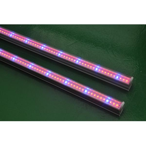 Buy Growing LED tube light 1200mm 18W at wholesale prices