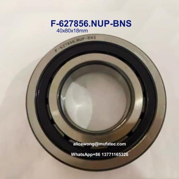 F-627856.NUP-BNS 40x80x18mm Cylindrical Roller Bearings for JAC Refine
