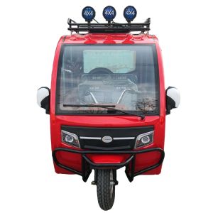 Kids 520kg Electric Passenger Tricycle Mototaxi