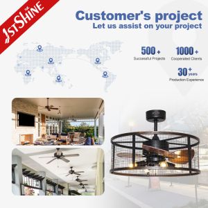 Downrod Mount Remote Control Cage Ceiling Fan 20in With Light