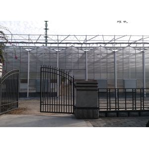 IGreen Polycarbonate Greenhouse Panels for Flowers and Vegetables Customized
