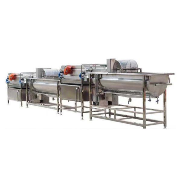 3.75KW Fruit And Vegetable Cleaning And Disinfecting Machine 1 Year Warranty