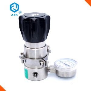 316L Back Pressure Valve Stainless Steel Gas Pressure Valve
