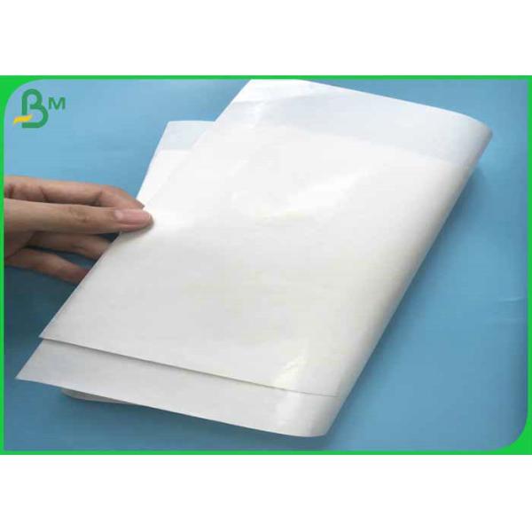 pe coated paper