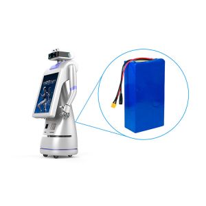 Pack Lithium Ion Battery 18650 48v 20ah Other Anode Material