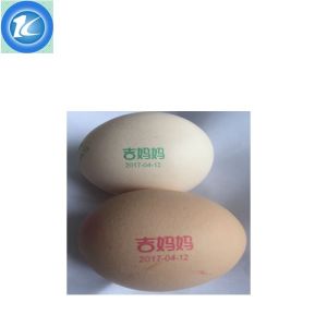 Automatic TIJ Egg Inkjet Printer Date Marking Stamping Machine 0 - 5 Mm Printing