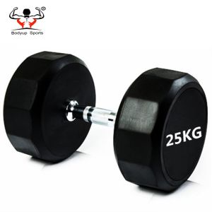 Dodecagon Round Rubber Dumbbells , Gym Equipment Dumbbells Little Smell