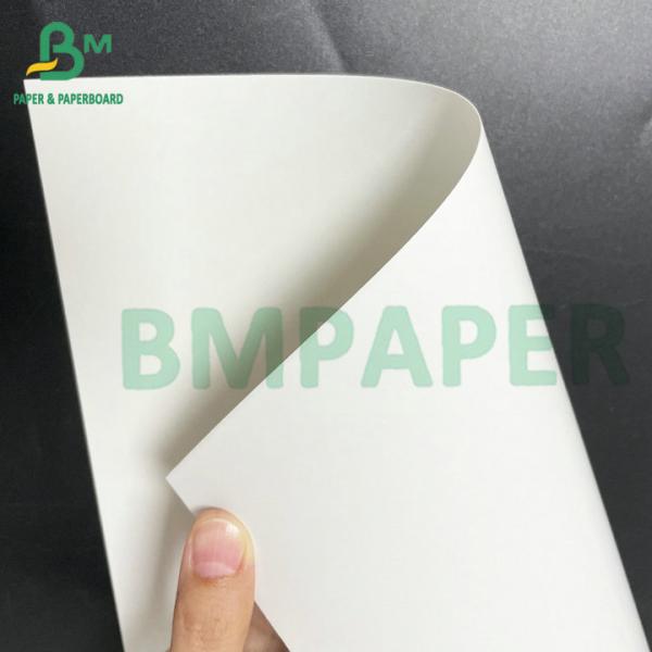 Food Grade Frozen White Cardboard 275gsm 325gsm 350gsm for Packing Seafood Products