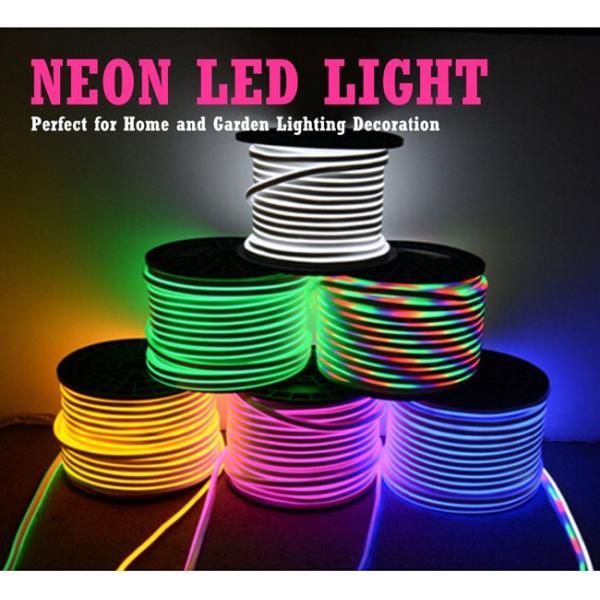 Flexible Led Neon Light Rgb for Outdoor Waterproof 220v 10*20 Lighting Sign