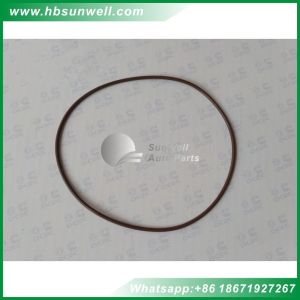 Cummins O Ring 2863702 for M11 QSM11 ISM11 Cummins Engine O-ring 3883042 3820694