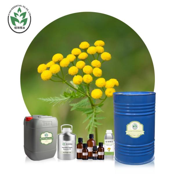 CAS 8016-87-3 Wholesale price Tanacetum annuum oil 100% pure natural organic blue tansy essential oil