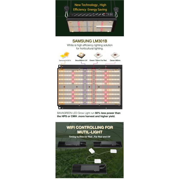 3000K 5000K LM301B Quantum Board 120W Samsung Indoor Garden Led Grow Lights